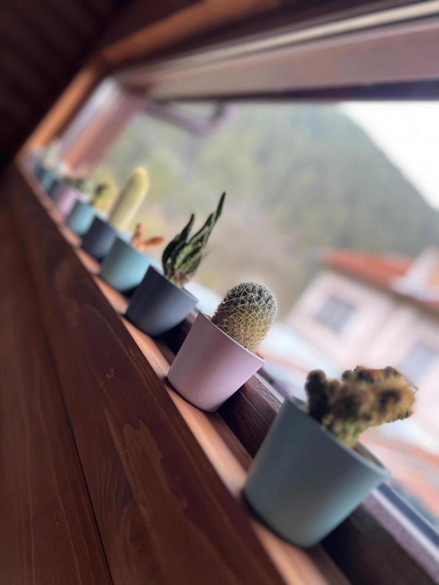 Guest House Recharge 고베다르치 외부 사진